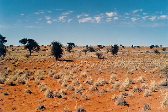 Kalahari