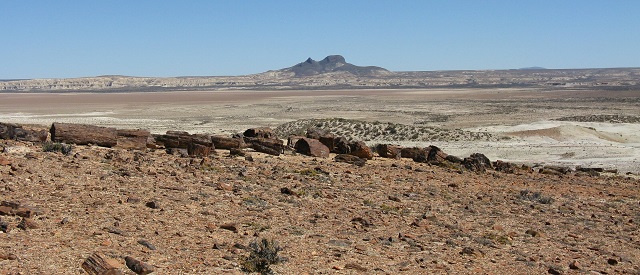 Patagonische woestijn